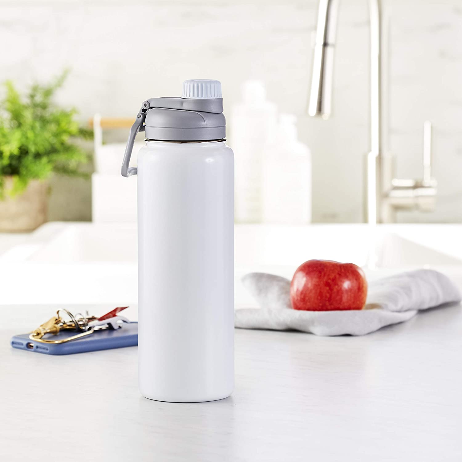 Basics Stainless Steel Insulated Water Bottle With Spout Lid (6)